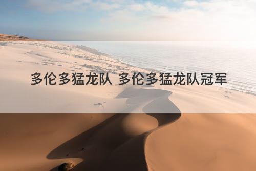 多伦多猛龙队 多伦多猛龙队冠军