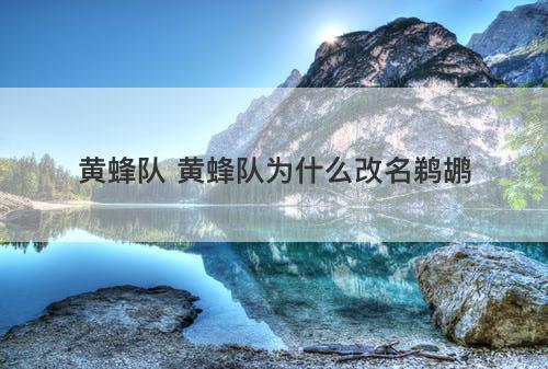 黄蜂队 黄蜂队为什么改名鹈鹕