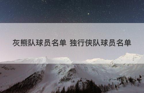 灰熊队球员名单 独行侠队球员名单