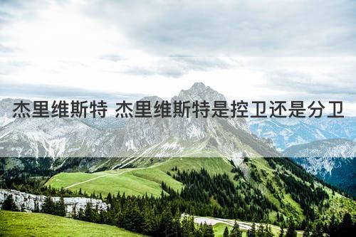 杰里维斯特 杰里维斯特是控卫还是分卫