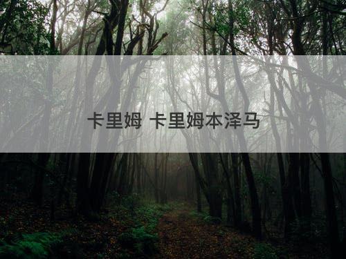 卡里姆 卡里姆本泽马