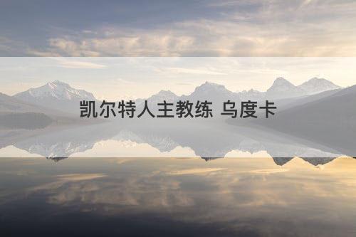 凯尔特人主教练 乌度卡