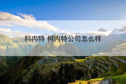 科内特 柯内特公司怎么样