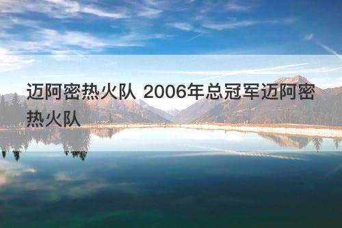迈阿密热火队 2006年总冠军迈阿密热火队