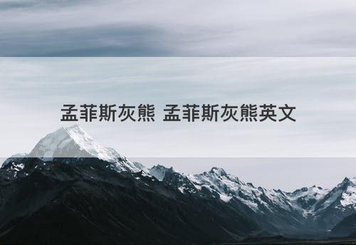 孟菲斯灰熊 孟菲斯灰熊英文