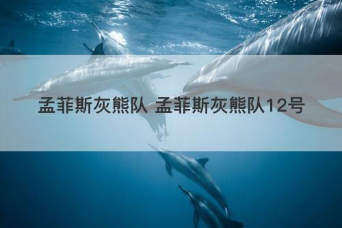 孟菲斯灰熊队 孟菲斯灰熊队12号