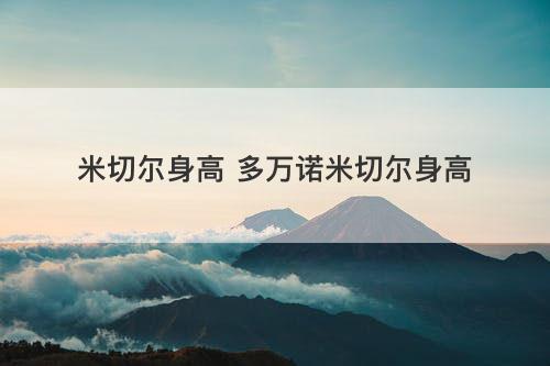 米切尔身高 多万诺米切尔身高