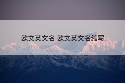 欧文英文名 欧文英文名缩写
