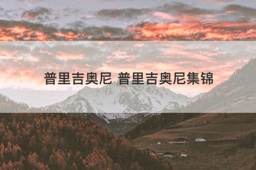 普里吉奥尼 普里吉奥尼集锦