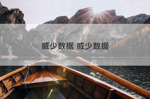 威少数据 威少数据