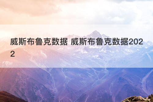 威斯布鲁克数据 威斯布鲁克数据2022