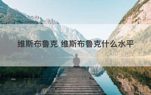 维斯布鲁克 维斯布鲁克什么水平