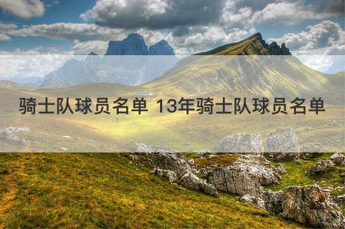 骑士队球员名单 13年骑士队球员名单