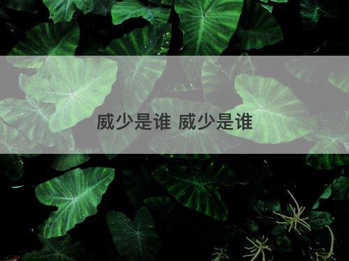 威少是谁 威少是谁