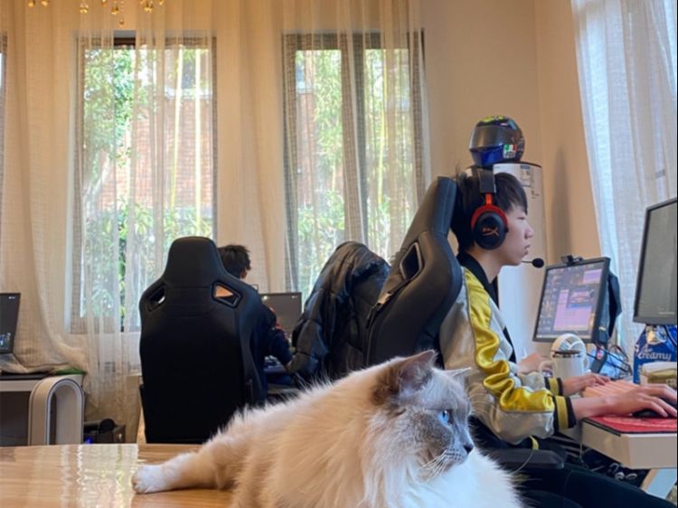 排超联赛直播_我们也希望通过这次比赛，浙江女排一直占据场上优势